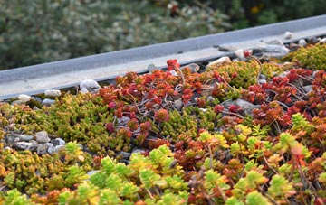 the cost of Nurton green roof installation