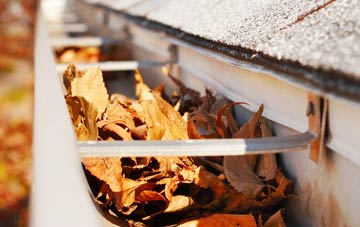 Nurton gutter cleaning companies