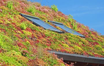 Nurton living roof systems