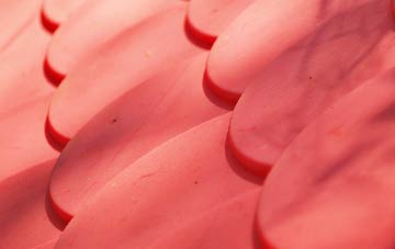 Nurton plastic roof costs