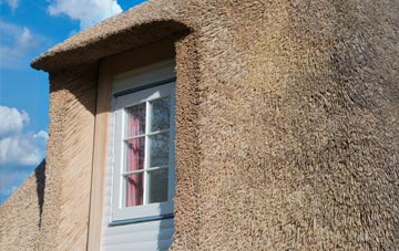Nurton thatch roof disadvantages