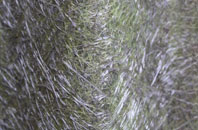 Nurton fibreglass roof work